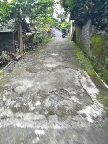 WhatsApp Image 2023-09-21 at 11.05.53 (1)